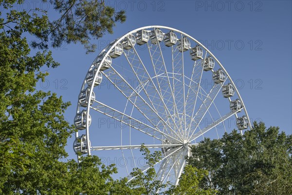 Circle of Life Ferris wheel