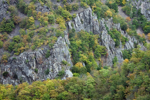 View over the Bodetal