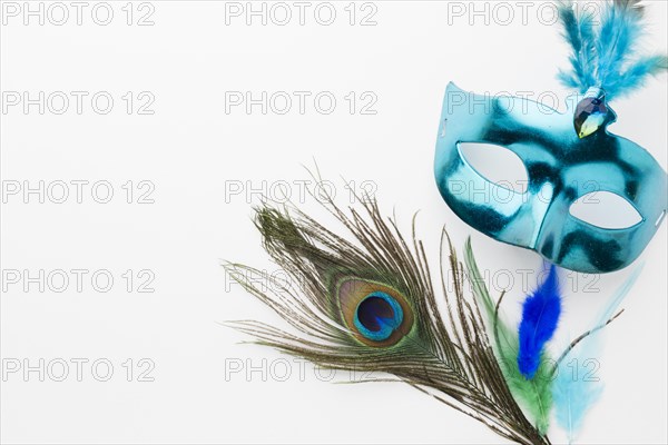 Close up carnival mask with peacock feather