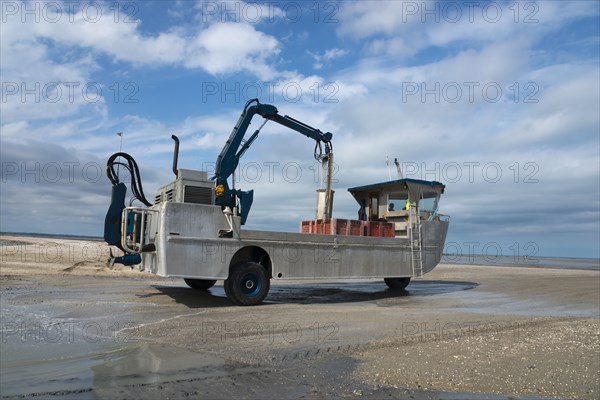 Amphibious vehicle in the Wadden Sea on the way to the mussel harvest