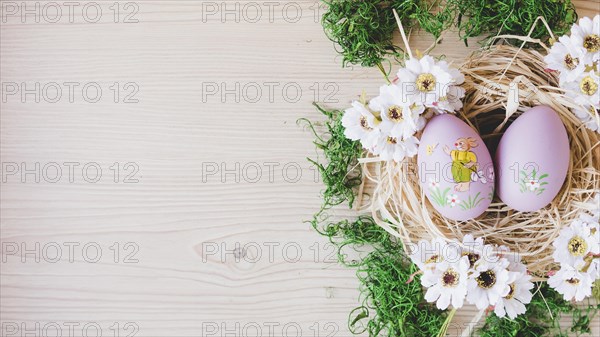 Pretty eggs flowers nest