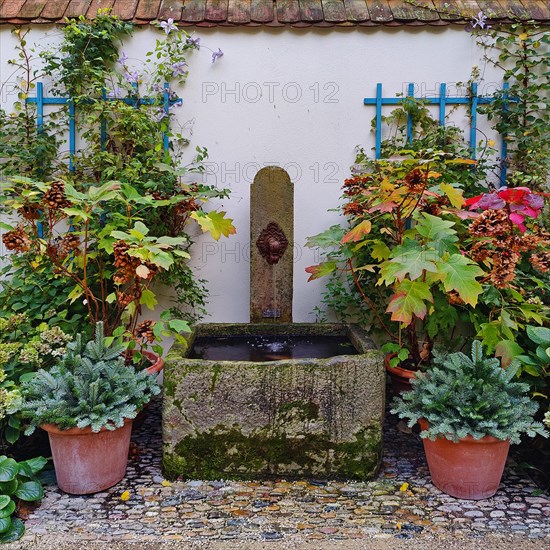 Garden with original fountain