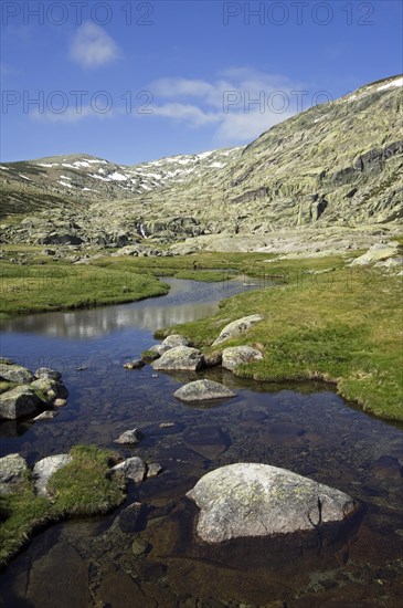 Mountain stream in spring in the Sierra de Gredos