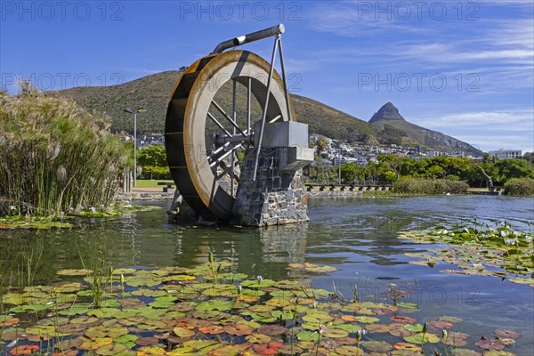 Waterwheel at Green Point Urban Park and Signal Hill