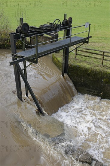 Flood on the Kocher near Rosengarten-Wilhelmsglueck