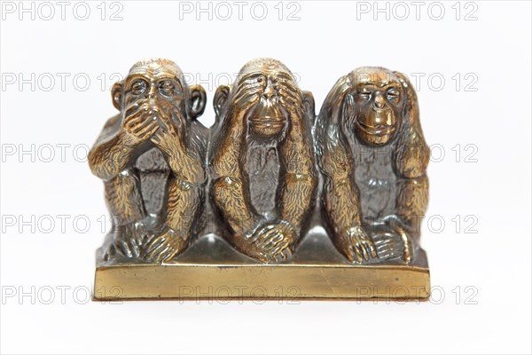 Three monkeys