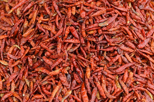Red chilli peppers at the market