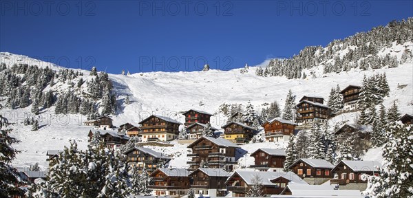 Swiss wooden chalets in the snow in winter in the Alps at the mountain village Riederalp