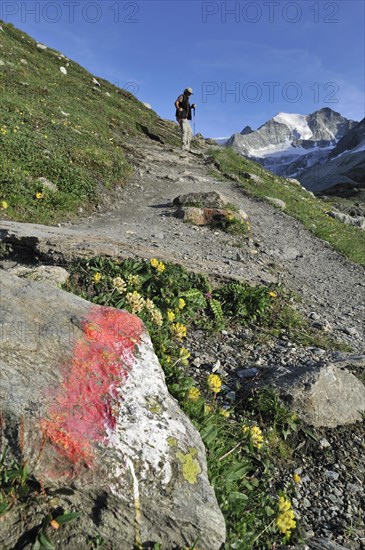 The characteristic white and red stripes that mark the path of a GR