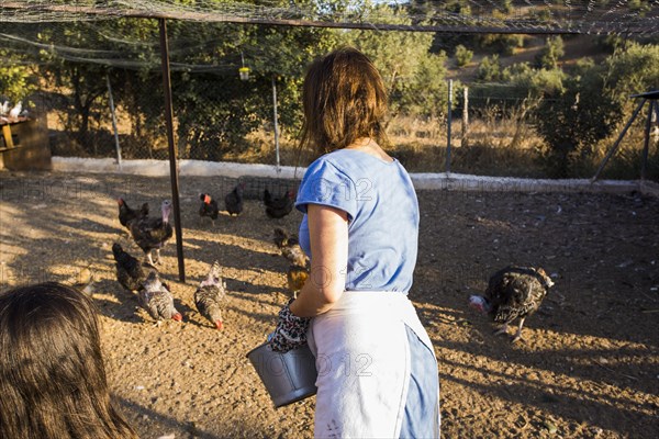 Rear view woman feeding chicken standing field