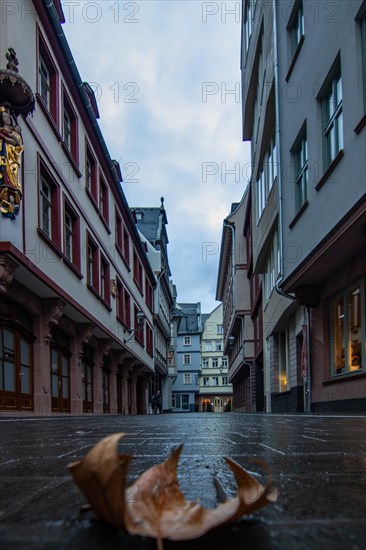 Reflection in a puddle between a historic city centre. Cityscape at the Roemer and the historic houses and streets. Cityscape in Frankfurt am Main