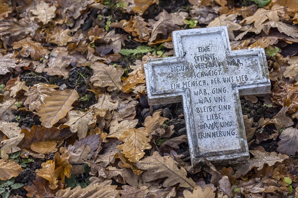 Cemetery for fallen soldiers of the world wars