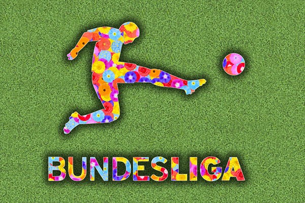Logo first Bundesliga