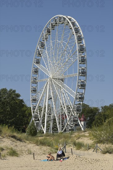 Circle of Life Ferris wheel