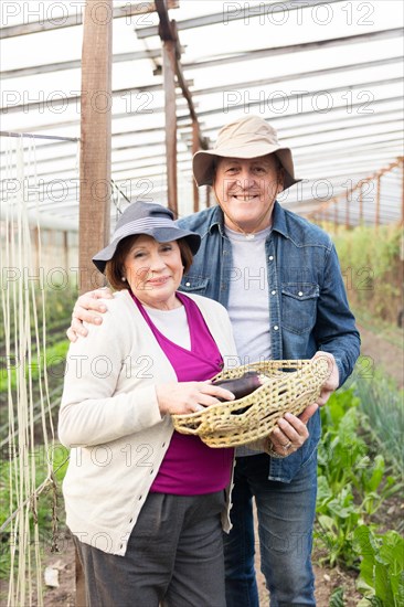 Senior couple enjoying harvest eggplants
