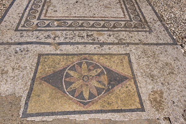 Mosaic floor in the ancient city of Delos