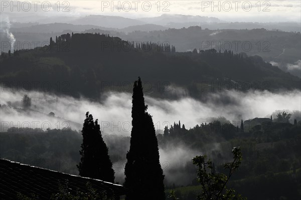 Morning fog around San Gimignano