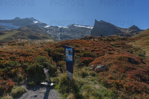 Hintertux Glacier