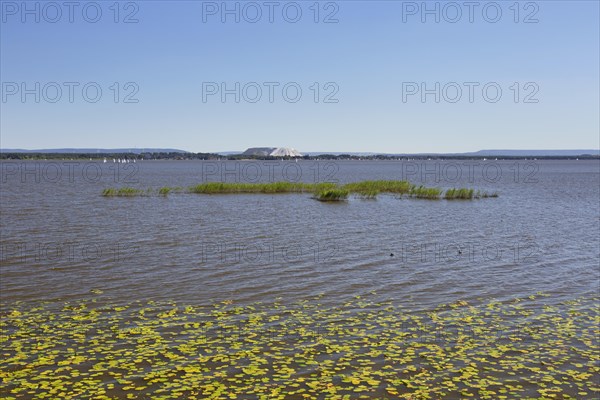 Steinhuder Meer