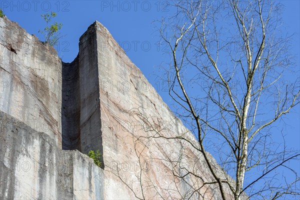 Abandoned red marble quarry Carriere de Beauchateau at Senzeilles