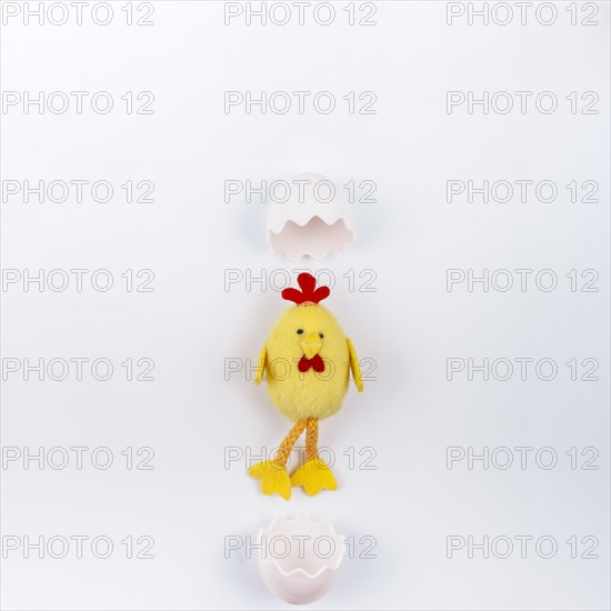 Toy small chicken with egg shell white table