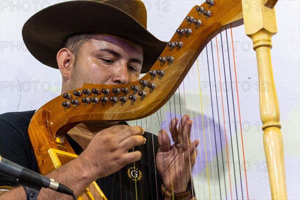 Musician playing the harp