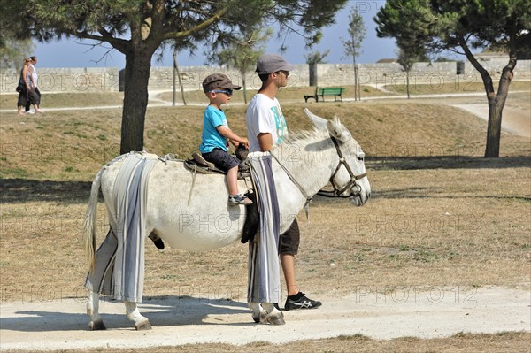 Child riding donkey with trousers at Saint-Martin-de-Re on the island Ile de Re