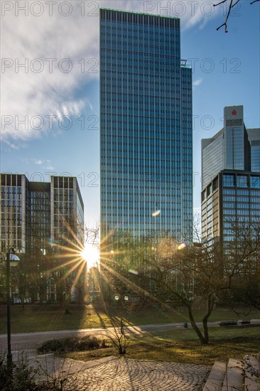 Sunset between skyscrapers. Cityscape with modern office buildings and streets. Insurance companies and banks as a cityscape in Frankfurt am Main