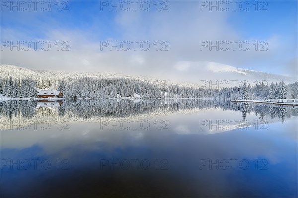 Reflection of snow-covered trees in the Prebersee