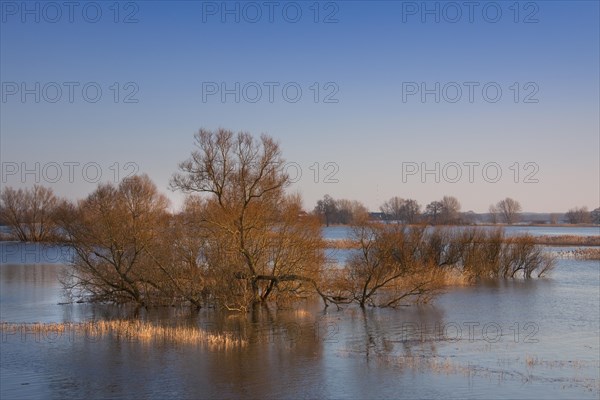 Flooded meadows at the Elbe River Landscape Biosphere Reserve