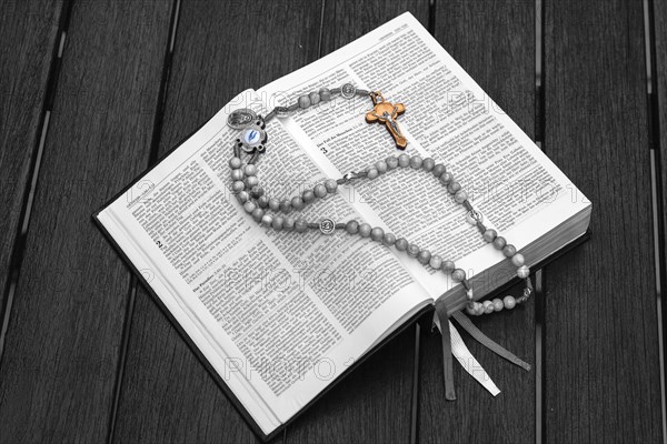 Bible Einheitsuebersetzung with olive wood rosary