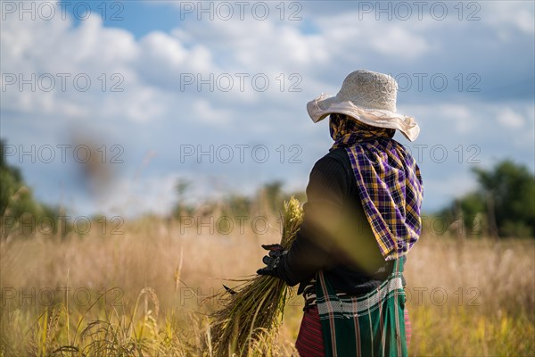 Labourer in the field