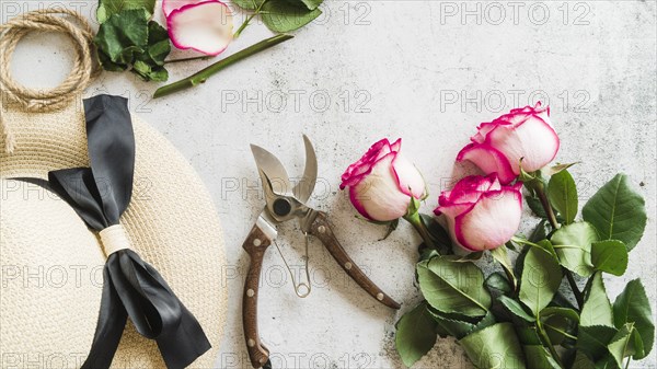 Straw hat secateurs rose twigs concrete backdrop