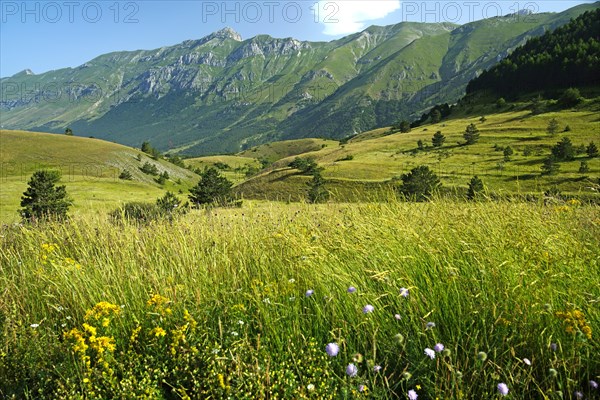 Litlle Tibet