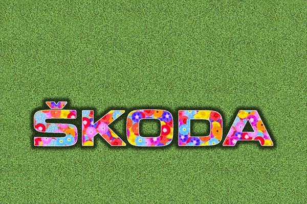 Logo car company Skoda