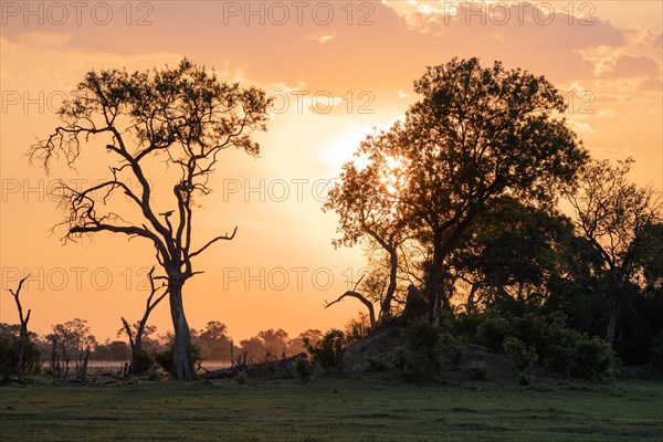 Sunset in Tanzania