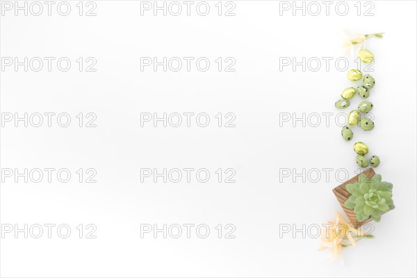 Small chocolate easter eggs with green plant table