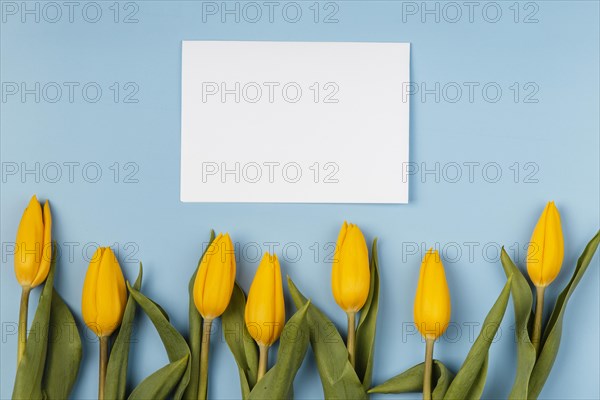 Yellow tulips with blank card