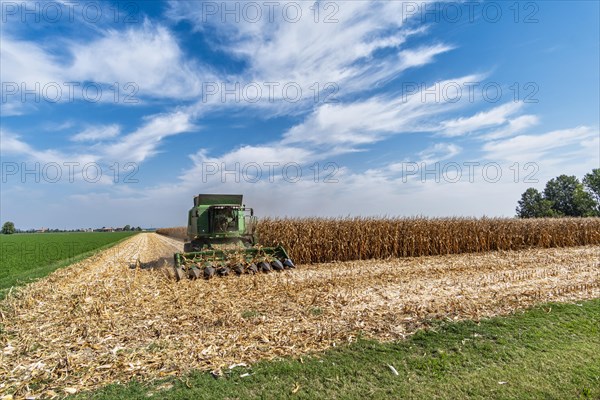 Maize harvest near Pieve di Cento