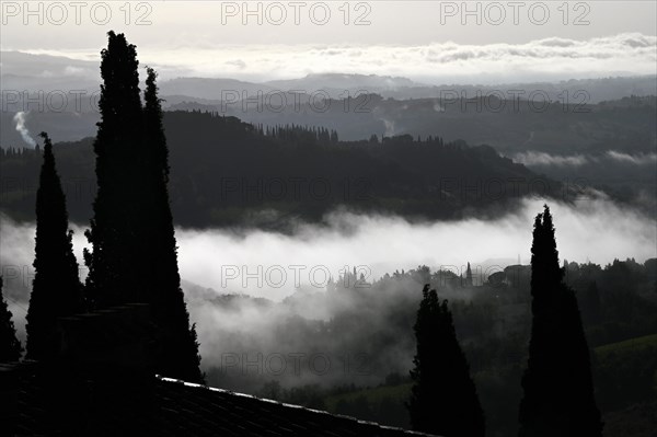 Morning fog around San Gimignano