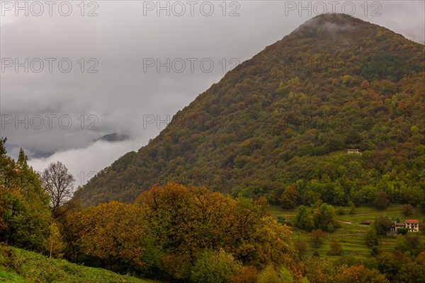 Mountain Peak with Autumn Forest in a Cloudy Day in Monte Bre