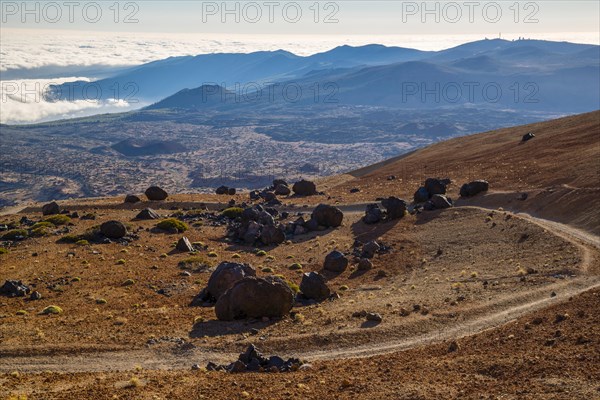 Huevos del Teide