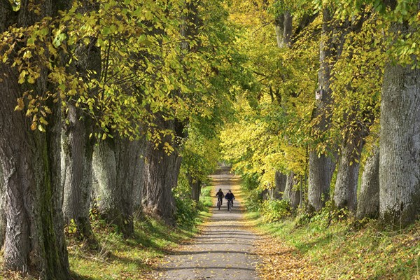 Couple on a cycling trip