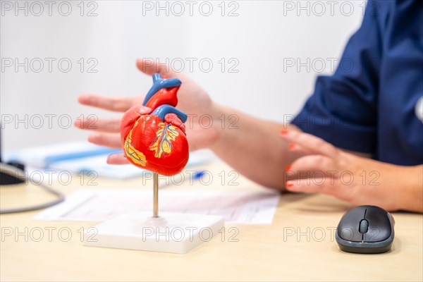 Close-up photo of an unrecognizable cardiologist using a heart shape model to explain something to a patient