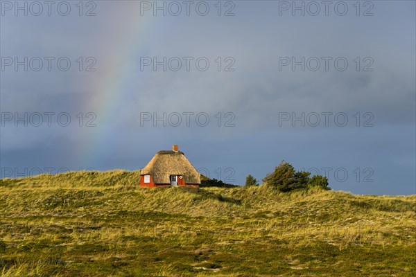Rainbow and thatched house
