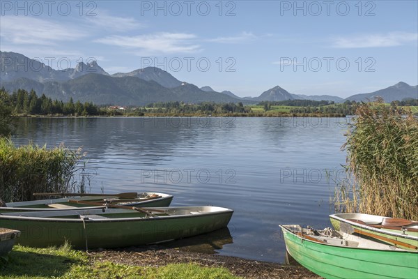 Rowing boats on Lake Hopfensee