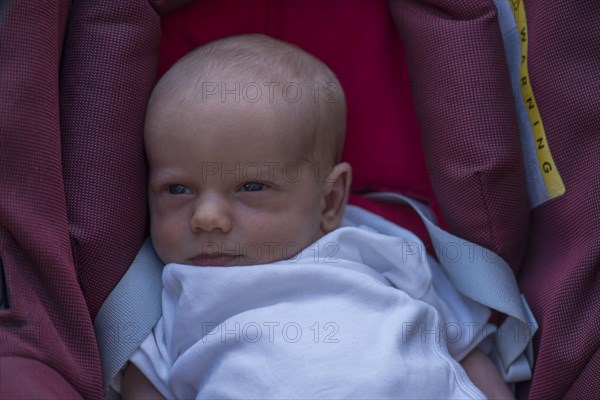 Baby in baby carrier