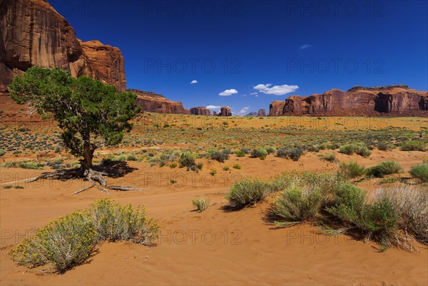 Rock formation in Monument valley