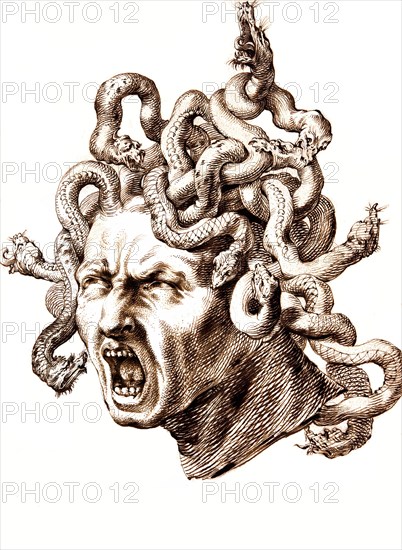 Head of Medusa