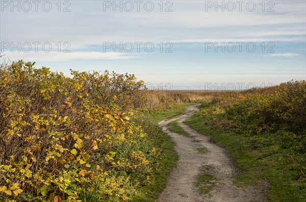 Nature trail through the Morsum-Kliff geotope